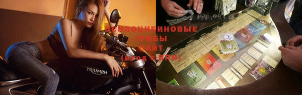 spice Балахна