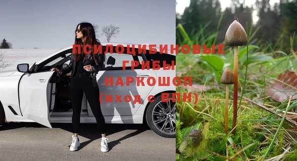 spice Балахна
