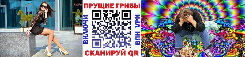 Псилоцибиновые грибы Magic Shrooms  где продают наркотики  Усть-Илимск 